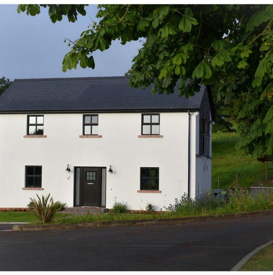 Villa Mill House Portglenone Exterior foto